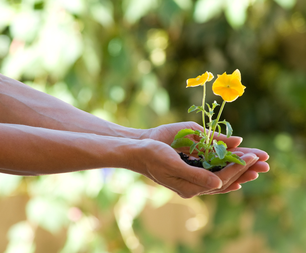 Helping nature